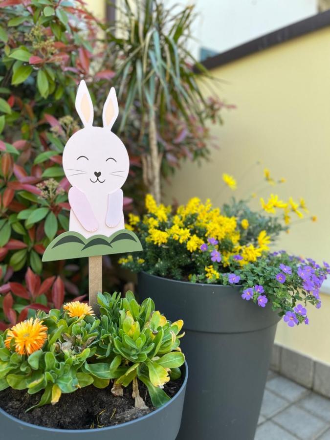 Domus Silvana Apartments 라벤나 외부 사진
